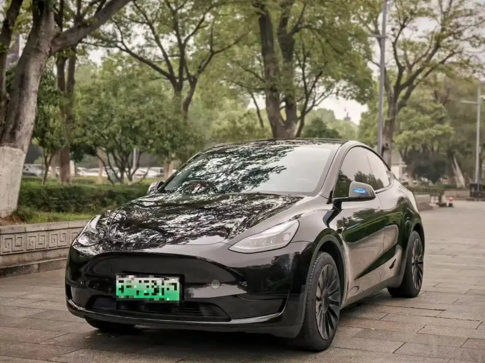 Tesla Model Y Rear-Wheel Drive Version 2022