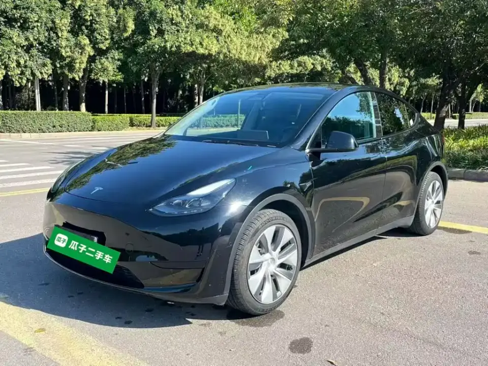 Tesla Model Y Rear-Wheel Drive Version 2022