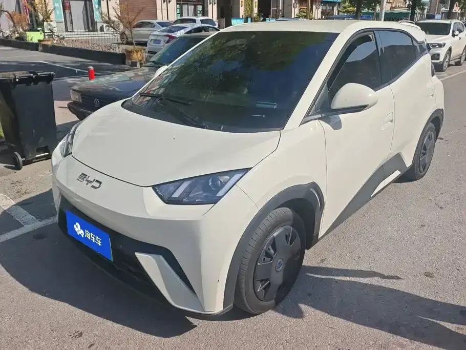 BYD Seagull Glory Edition 305km Vitality Edition 2024