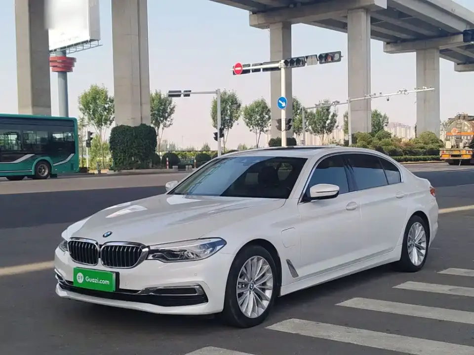 BMW 5 Series New Energy 530Le Luxury Package 2019
