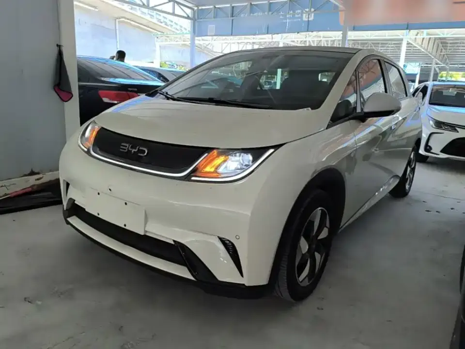 BYD Dolphin Glory Edition 420km Fashion Edition 2024