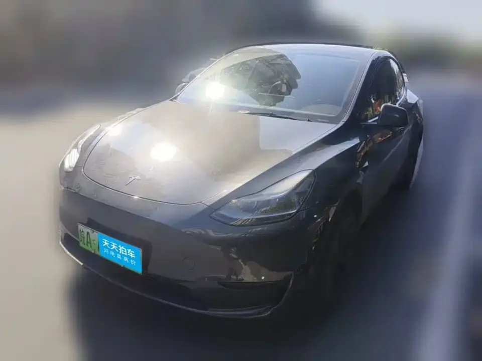 Tesla Model Y Rear-Wheel Drive Version 2024