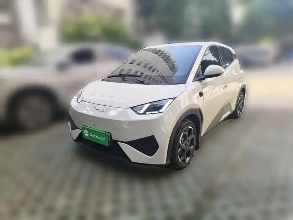 BYD Seagull Smart Drive Edition 305km Freedom Version 2025