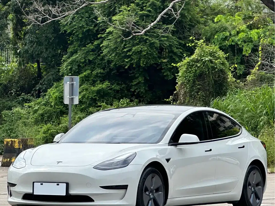 Tesla Model 3 Rear-Wheel Drive 2023