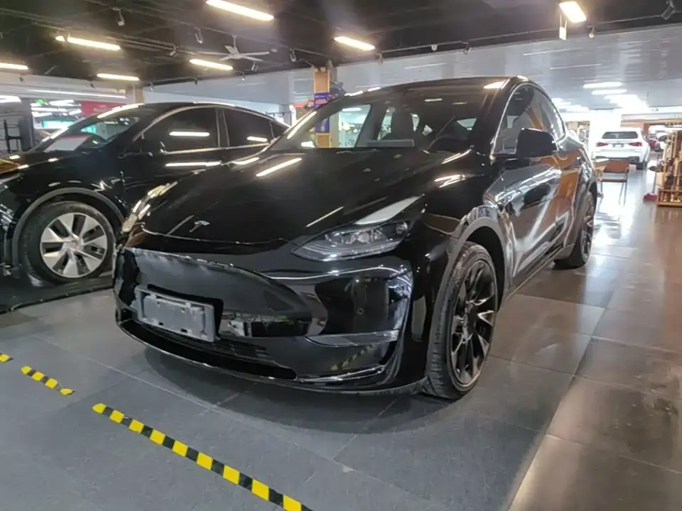 Tesla Model Y Standard Range Rear-Wheel Drive 2021