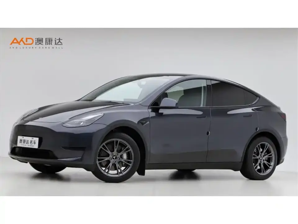 Tesla Model Y Rear-Wheel Drive Version 2025