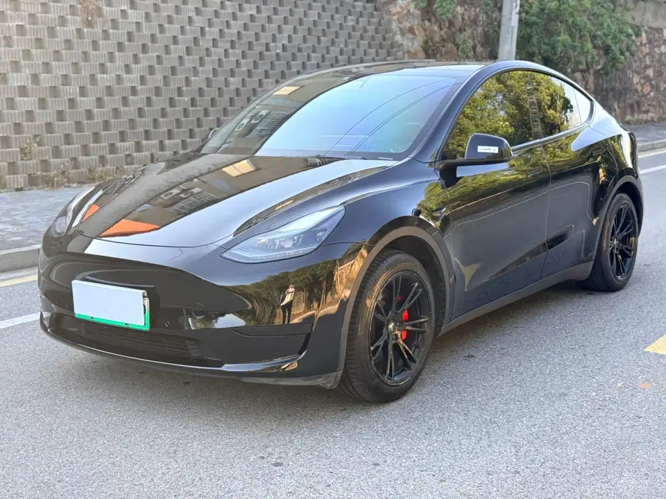 Tesla Model Y Rear-Wheel Drive Version 2022