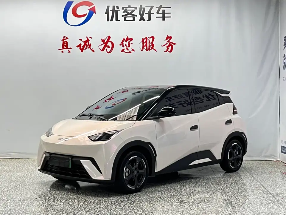 BYD Seagull Glory Edition 405km Soaring Edition 2024