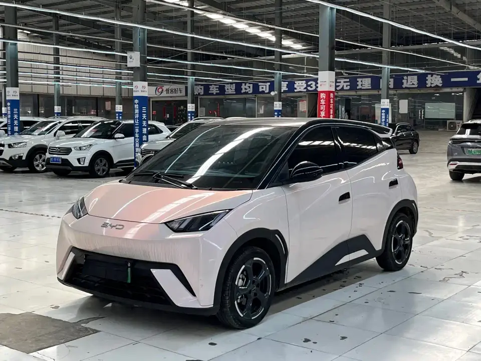 BYD Seagull Glory Edition 405km Soaring Edition 2024