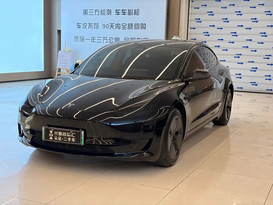 Tesla Model 3 Standard Range Rear-Wheel Drive Upgrade 3D6 2022