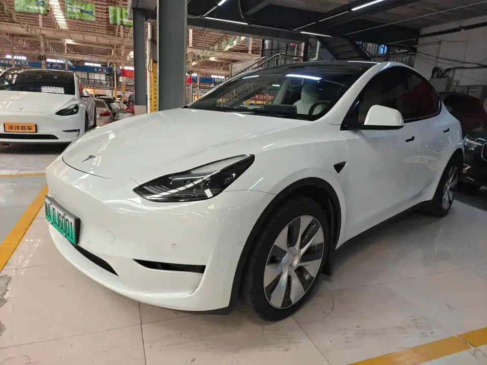 Tesla Model Y Rear-Wheel Drive Version 2022