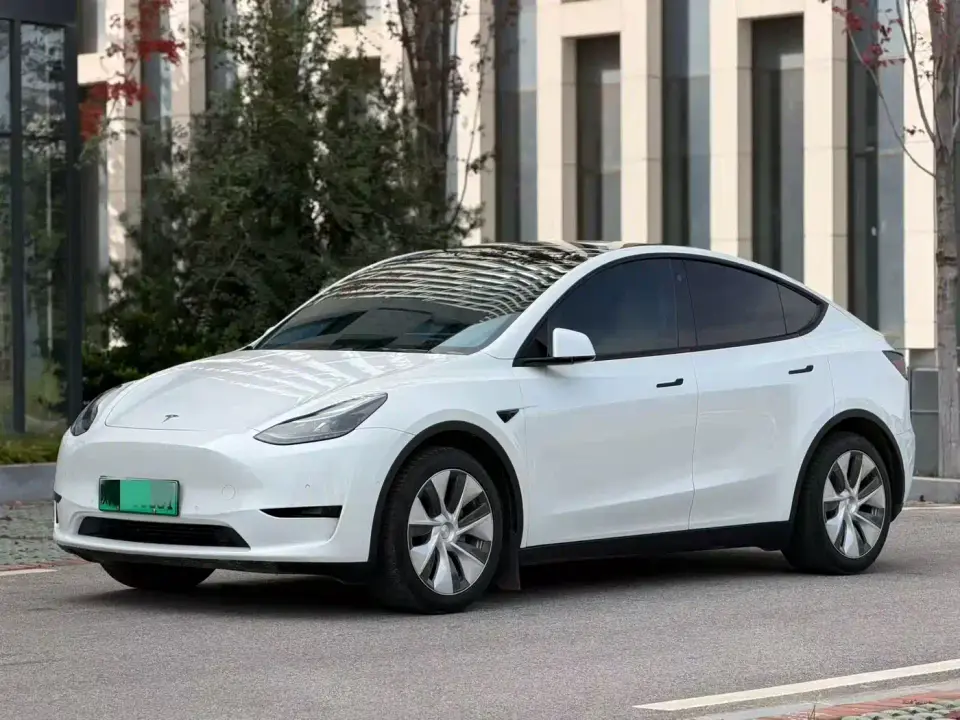 Tesla Model Y Rear-Wheel Drive Version 2022