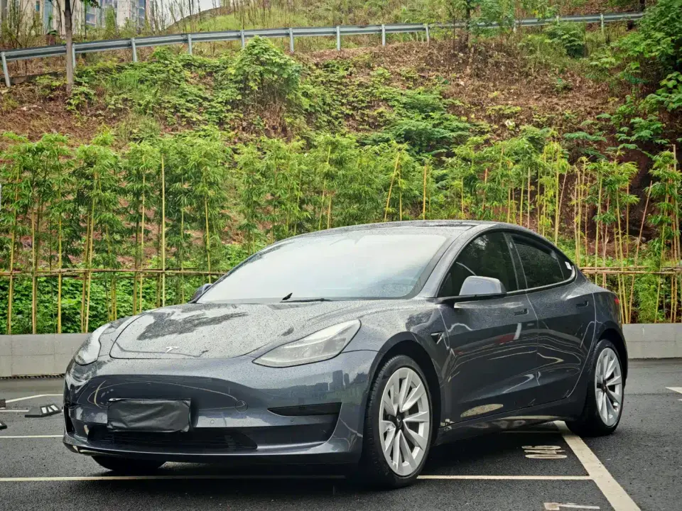 Tesla Model 3 Rear-Wheel Drive 2023