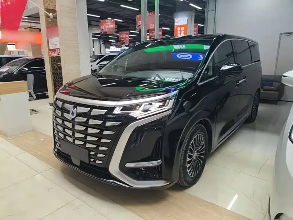 Denza D9 DM-i 980 AWD Premium 2024