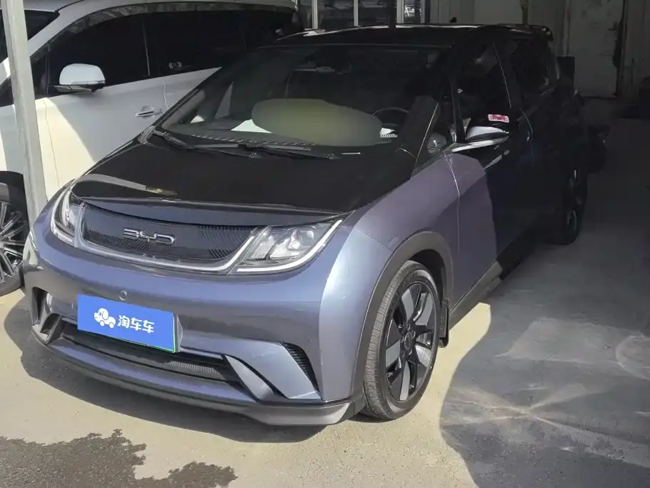 BYD Dolphin 401km Knight Edition 2023