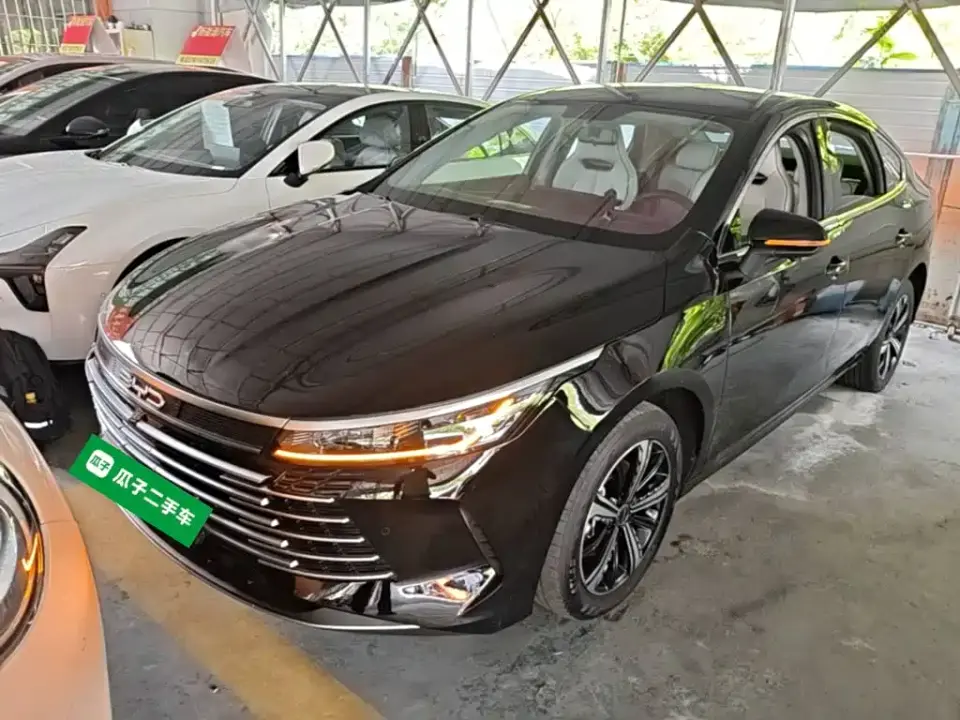 BYD Destroyer 05 Glory Edition DM-i 120KM Luxury 2024