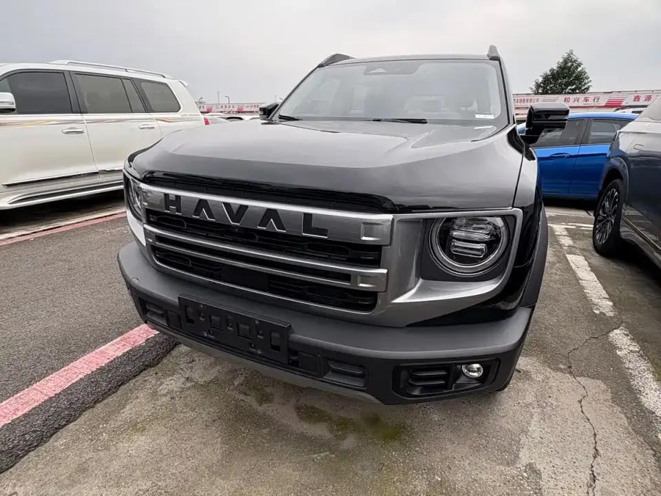 Haval Big Dog 1.5T DCT Border Collie Edition 2024