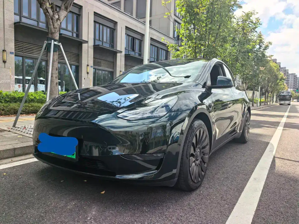 Tesla Model Y Model Long Range AWD 2021