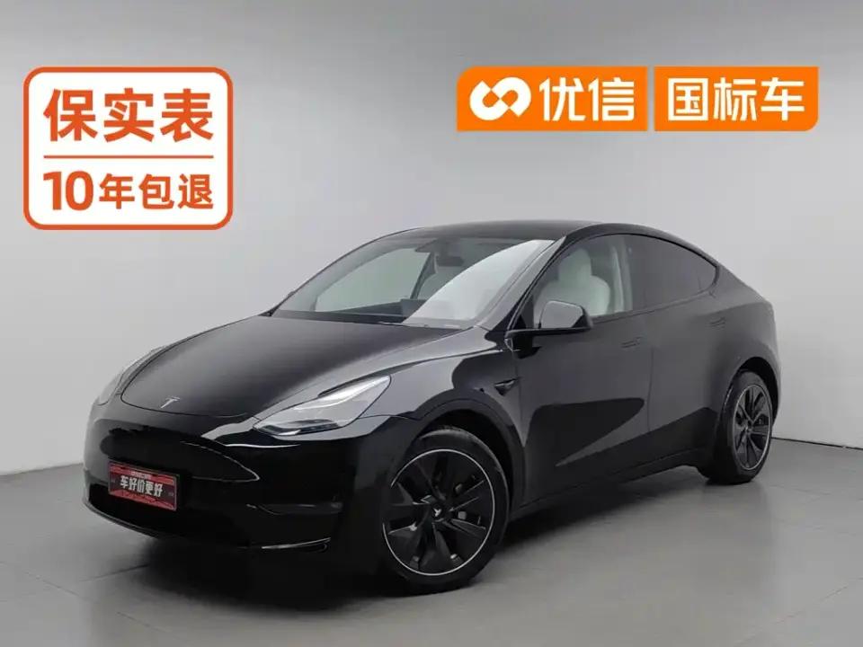 Tesla Model Y Long Range All-Wheel Drive 3D7 2021