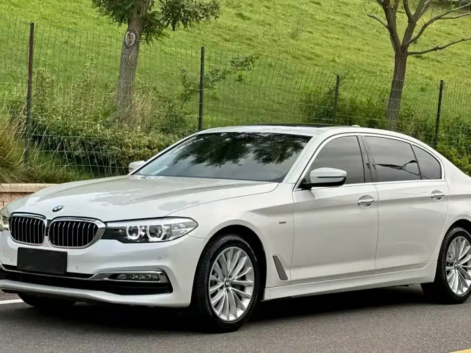 BMW 5 Series 530Li Leading Luxury Package 2019