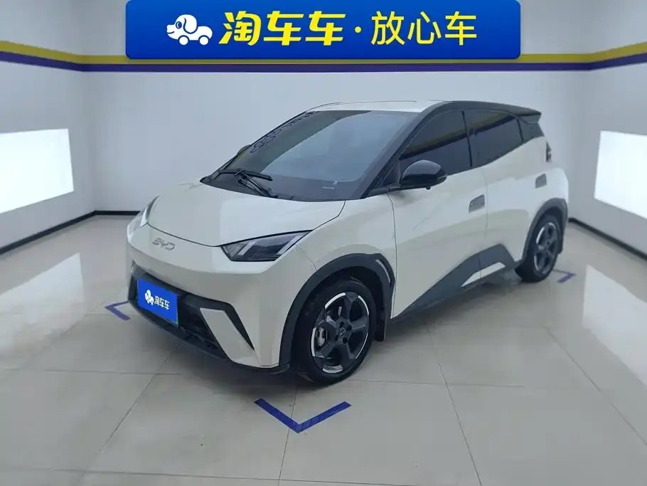 BYD Seagull Glory Edition 405km Soaring Edition 2024