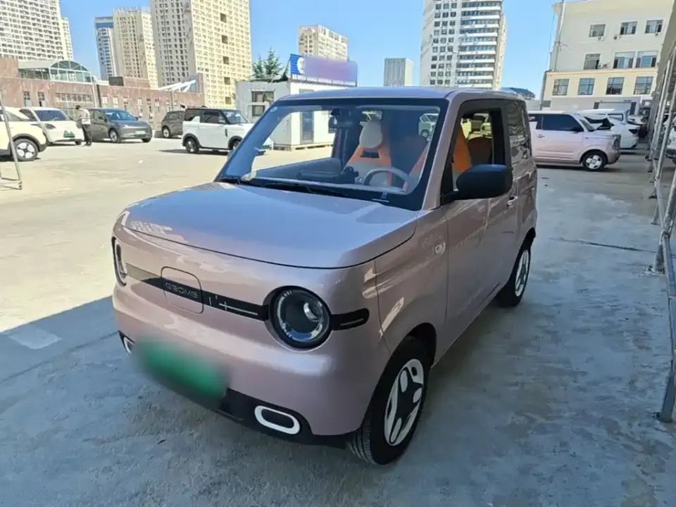 Geely Galaxy Panda Panda mini 210km Vitality Bear 2025