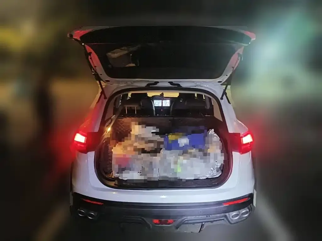 Geely Binyue 1.5T DCT Platinum Edition 2024 — фото 5