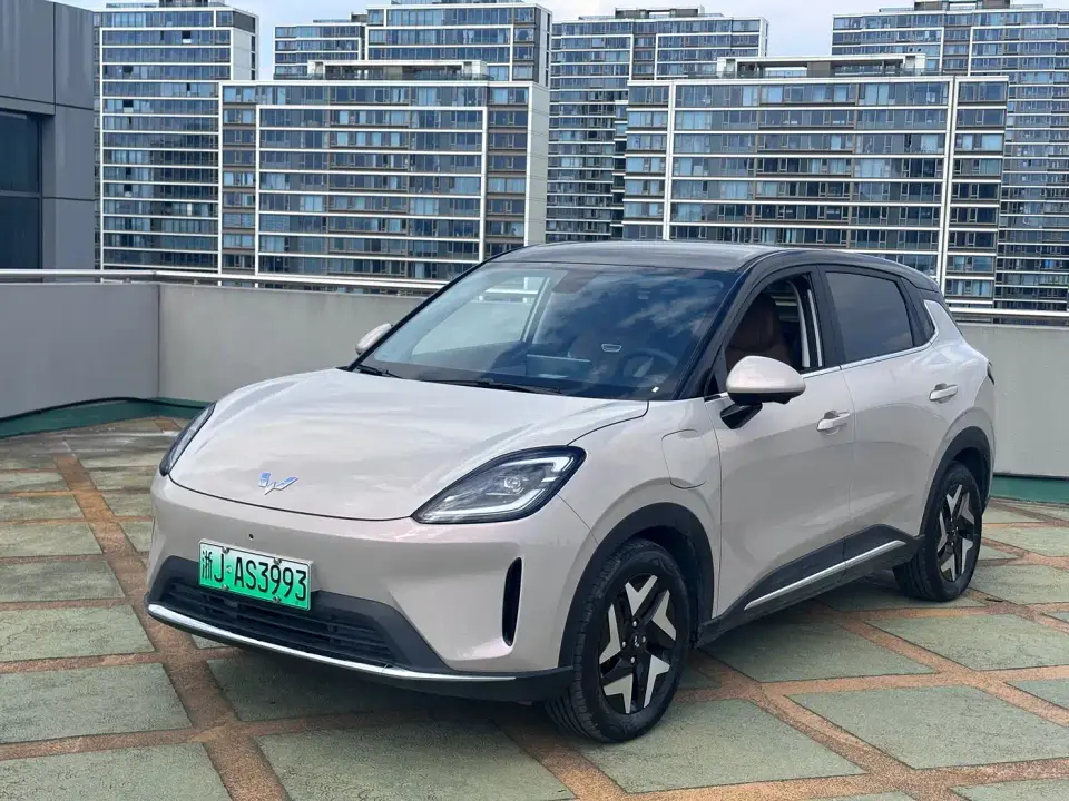 Wuling Motors Wuling Bingo S Model 525km Flagship Edition 2026