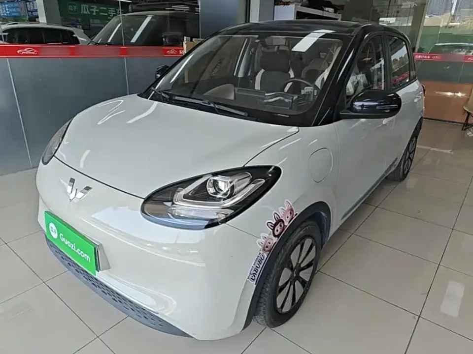 Wuling Motors Wuling Bingo 333km Quick Enjoy Version 2023