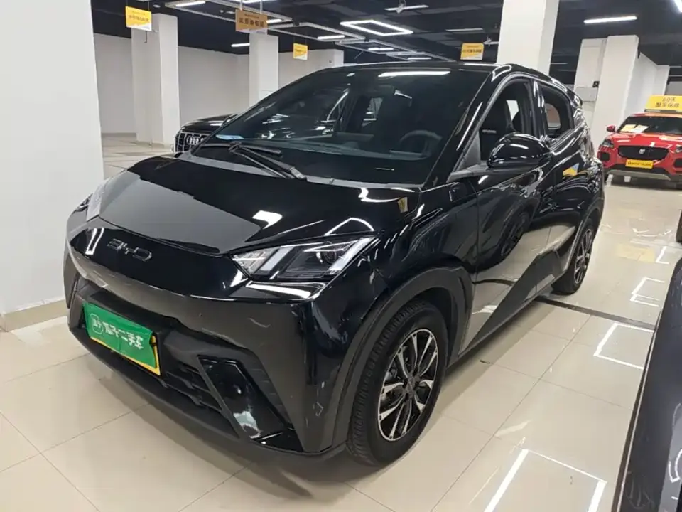 BYD Seagull Glory Edition 305km Vitality Edition 2024