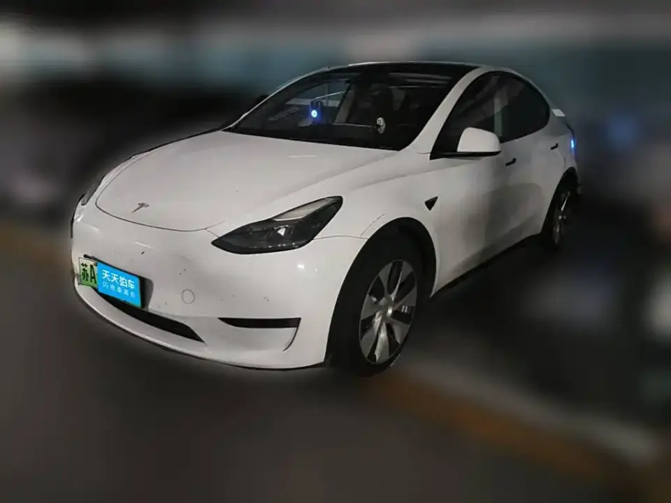 Tesla Model Y Rear-Wheel Drive Version 2022