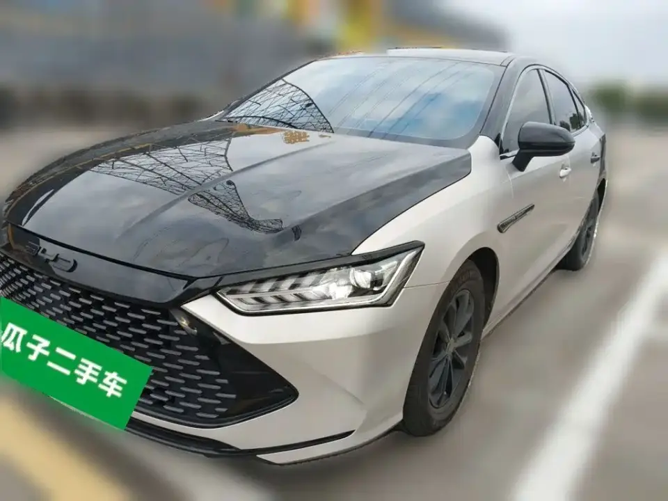BYD Qin PLUS Glory Edition DM-i 55KM Leading 2024