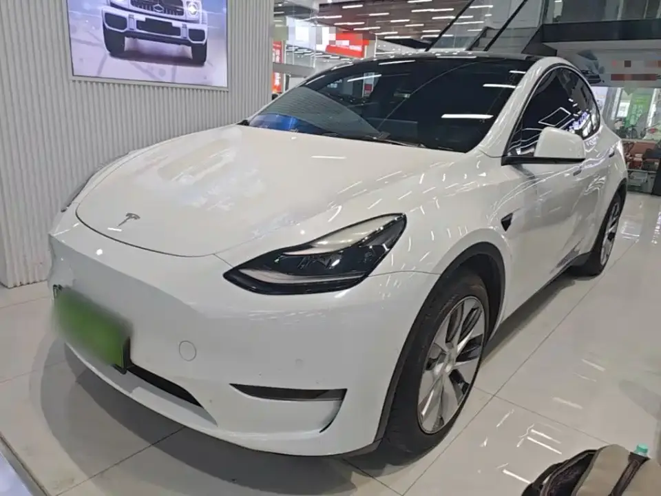 Tesla Model Y Standard Range Rear-Wheel Drive 2021