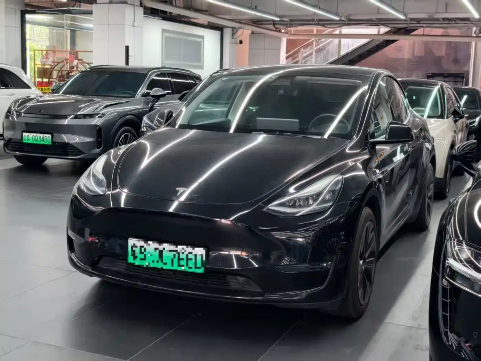 Tesla Model Y Standard Range Rear-Wheel Drive 2021