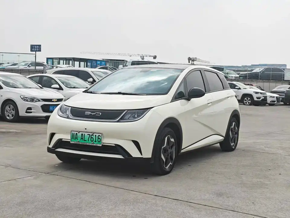 BYD Dolphin Model 405km Fashion Edition 2023