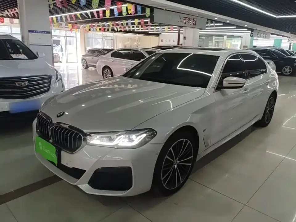 BMW 5 Series 530Li Leading M Sport Package 2020