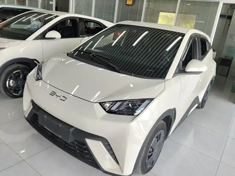 BYD Seagull Glory Edition 305km Vitality Edition 2024