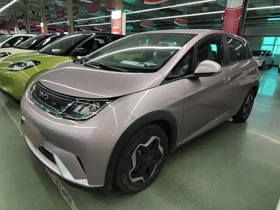 BYD Dolphin 405km Freedom Edition 2022