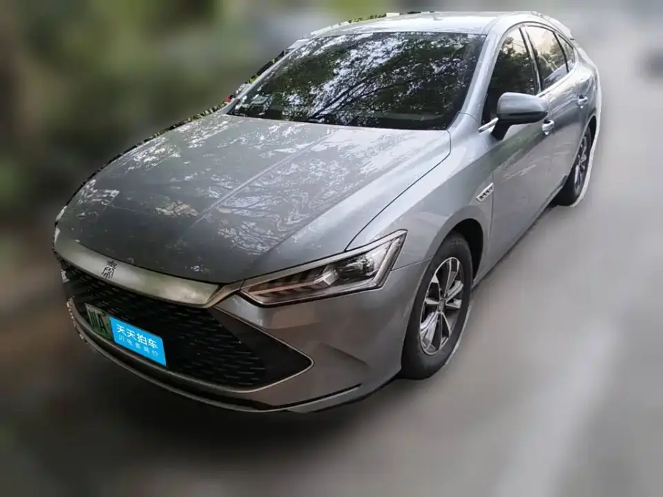 BYD Qin PLUS Glory Edition DM-i 55KM Leading 2024