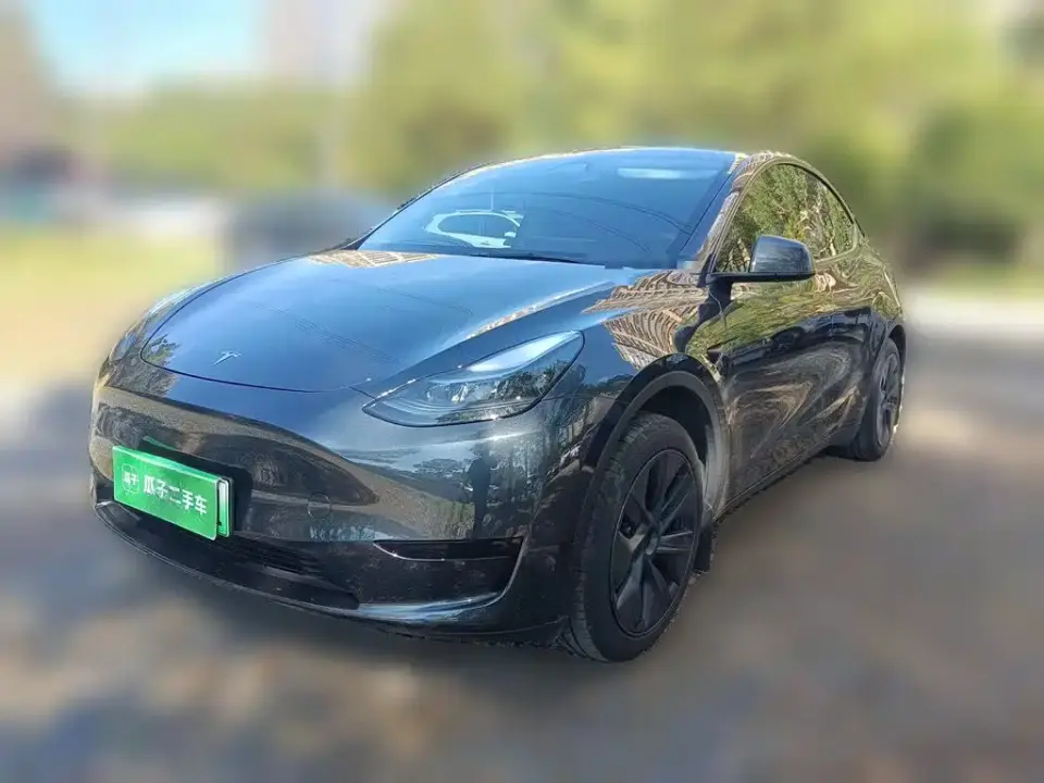 Tesla Model Y Rear-Wheel Drive Version 2024