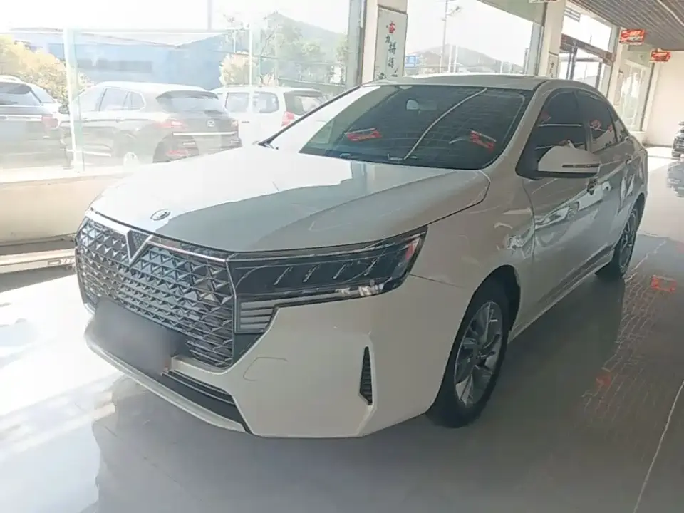 Venucia D60 PLUS 1.6L XL CVT Joy Leader Edition 2024