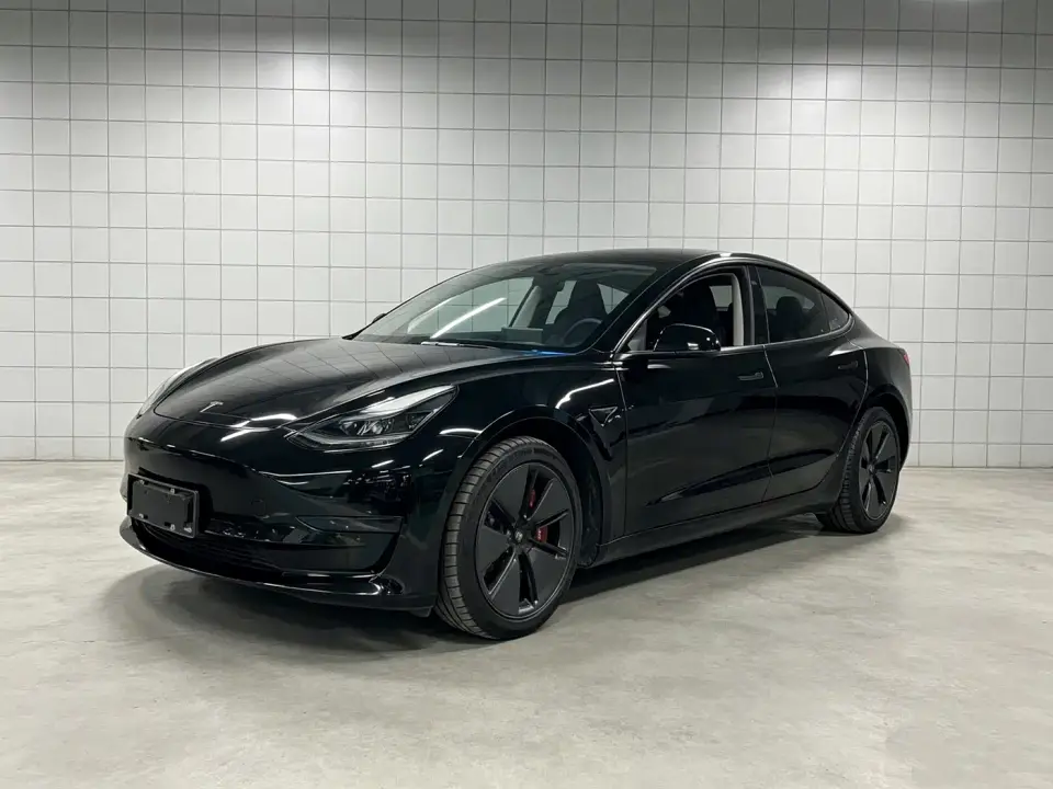 Tesla Model 3 Standard Range Rear-Wheel Drive Upgrade 2021