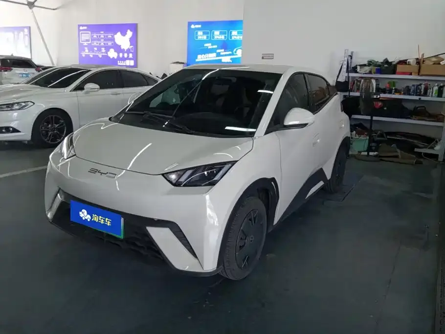BYD Seagull Vitality Edition 2024