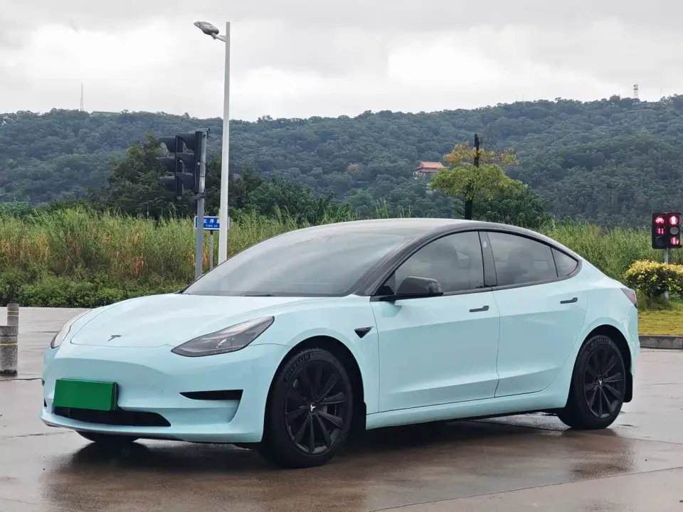 Tesla Model 3 Standard Range Rear-Wheel Drive Upgrade 3D6 2021