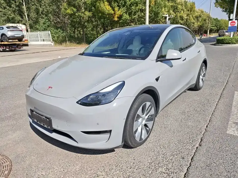 Tesla Model Y Standard Range Rear-Wheel Drive 2021