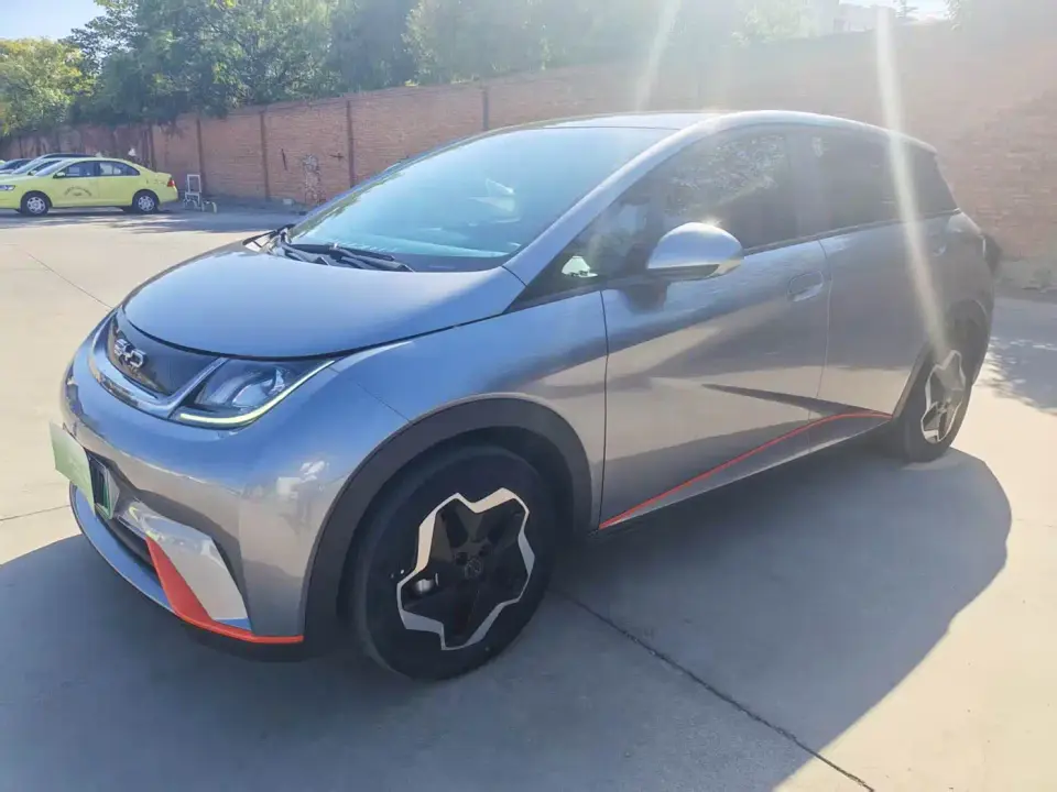 BYD Dolphin Model 405km Fashion Edition 2022