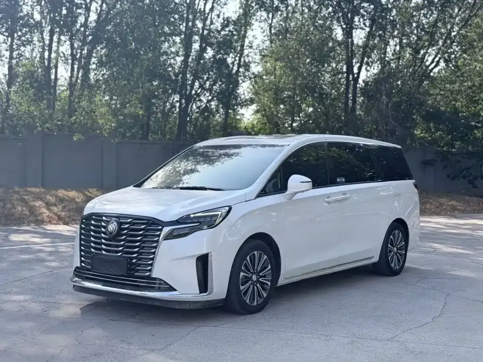 Buick GL8 ES Landmaster Luxury 2024