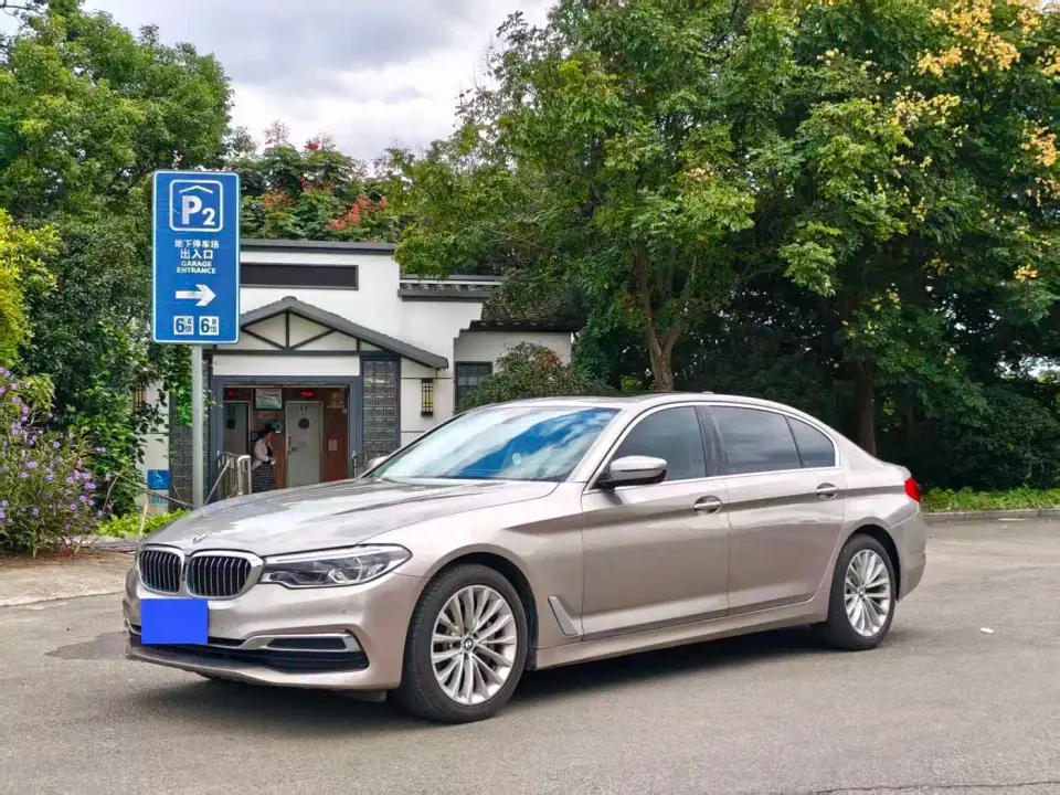 BMW 5 Series 530Li Premium Luxury Package 2020