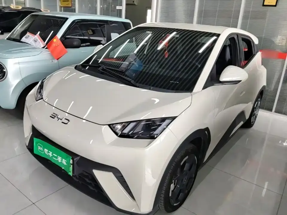 BYD Seagull Glory Edition 305km Freedom Edition 2024