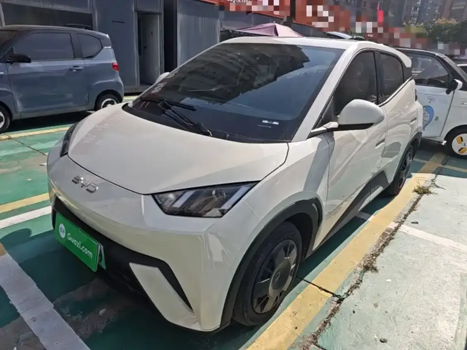 BYD Seagull Glory Edition 305km Vitality Edition 2024